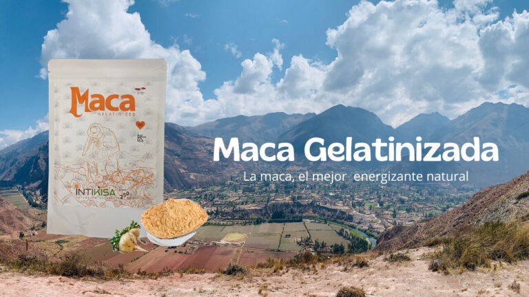 Maca gelatinizada